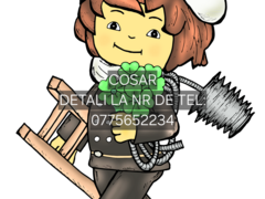 Curatarea cosurilor/ burlanelor etc