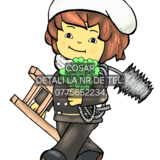 Curatarea cosurilor/ burlanelor etc